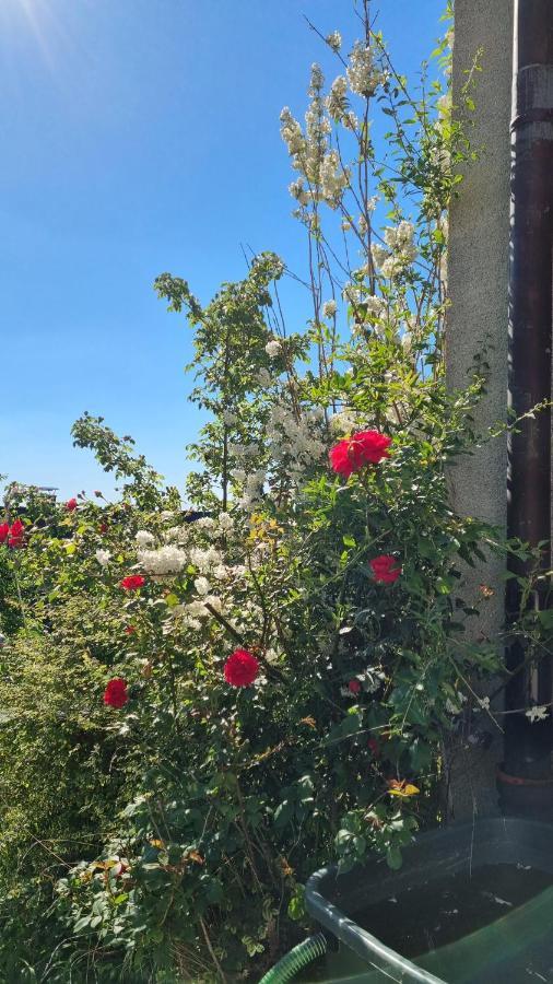 Appartement Zum Entspannen Wartenberg  Esterno foto